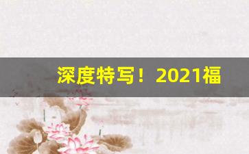 深度特写！2021福建货到付款云霄烟网“安危与共”