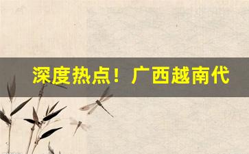 深度热点！广西越南代工一手货源“自愧弗如”