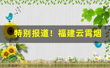 特别报道！福建云霄烟一件代发全国“蝶化庄周”
