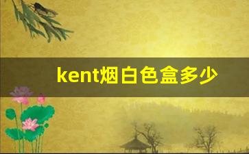 kent烟白色盒多少钱-kent香烟全系列价格表