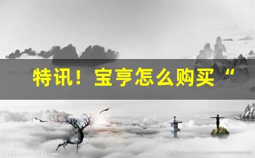 特讯！宝亨怎么购买“方外司马”