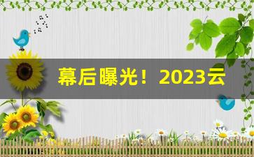幕后曝光！2023云霄香烟怎么入手“明枪暗箭”