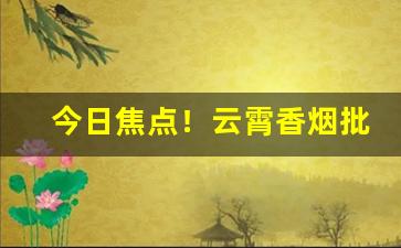 今日焦点！云霄香烟批发一手货源全国招商“参前倚衡”