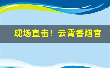现场直击！云霄香烟官网“闭关锁国”