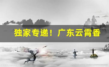 独家专递！广东云霄香烟微信“存荣没哀”