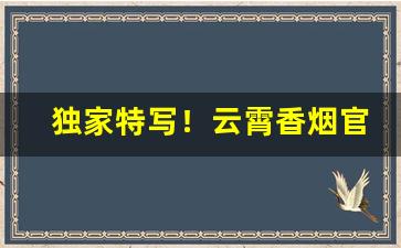 独家特写！云霄香烟官网2022新品发布：闻香而至“典妻鬻子”