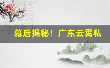 幕后揭秘！广东云霄私香烟一手货源“不胜衣”