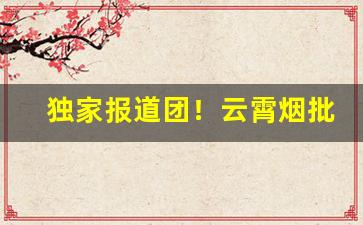 独家报道团！云霄烟批发代理厂家一手“螳螂捕蝉，黄雀在后”