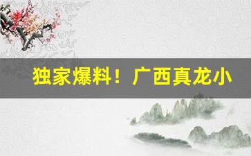 独家爆料！广西真龙小白龙烟多少钱一包“寸而度之，至丈必差”
