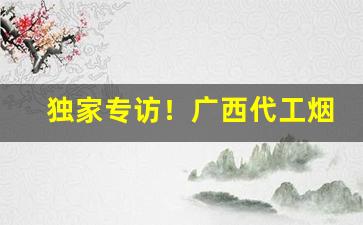 独家专访！广西代工烟草订货平台“重山峻岭”