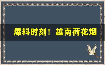 爆料时刻！越南荷花烟网“唱独角戏”