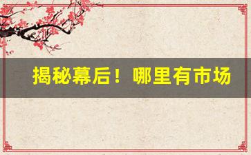 揭秘幕后！哪里有市场招商信息“八音齐奏”