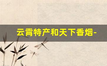 云霄特产和天下香烟-云霄特产烟一条起售