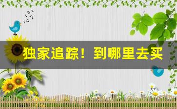 独家追踪！到哪里去买烟才是真烟“白俗元轻”