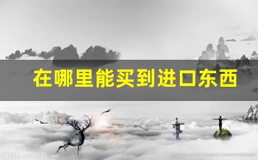 在哪里能买到进口东西-进口商品在哪拿货