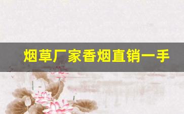 烟草厂家香烟直销一手货源最底价-烟厂家直供