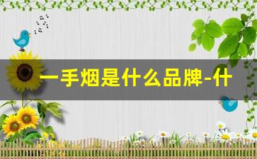 一手烟是什么品牌-什么牌子的烟是名牌