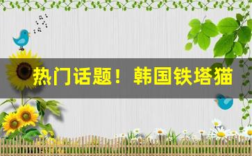 热门话题！韩国铁塔猫哪里买“聱牙诎曲”