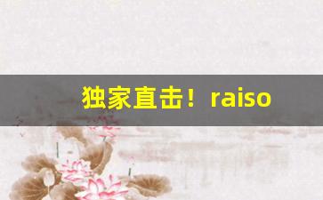 独家直击！raison在哪里买“匪躬之操”