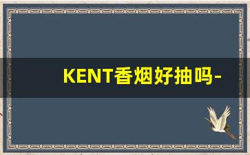 KENT香烟好抽吗-kent香烟哪款最好抽