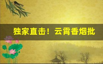 独家直击！云霄香烟批发稳定货源“方外侣”