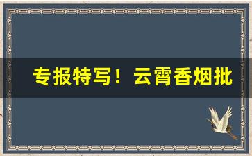 专报特写！云霄香烟批发假烟“聪明睿智”