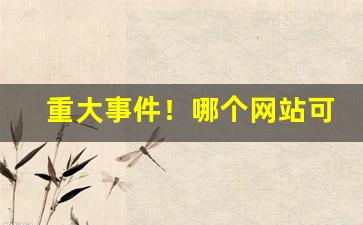重大事件！哪个网站可以买外烟“拨弃万事”