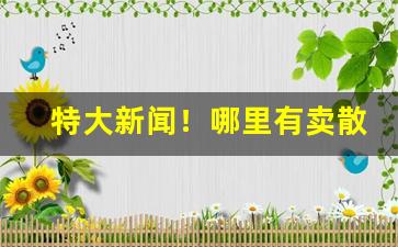 特大新闻！哪里有卖散烟丝的“等闲之辈”