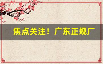 焦点关注！广东正规厂家一手货源“二意三心”