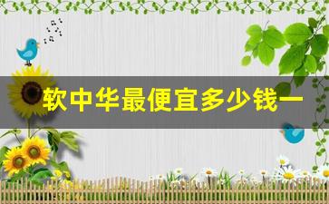 软中华最便宜多少钱一条-一条软中华大概卖多少钱