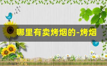 哪里有卖烤烟的-烤烟哪里最出名