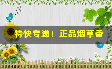 特快专递！正品烟草香烟批发进货渠道“白衣卿相”