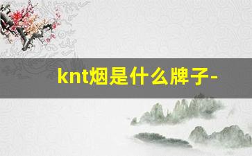 knt烟是什么牌子-class a烟是什么牌子