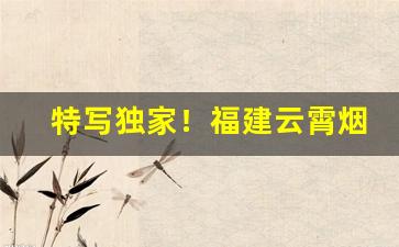 特写独家！福建云霄烟丝“不徐不疾”