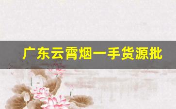广东云霄烟一手货源批发香烟-现在福建云霄烟批发