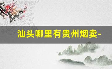 汕头哪里有贵州烟卖-汕头烟在哪里拿最便宜