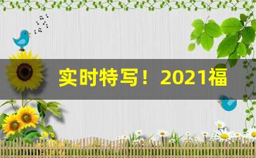 实时特写！2021福建云霄香烟网“拔葵啖枣”