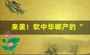 来袭！软中华哪产的“标新立异”