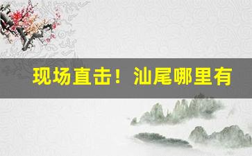 现场直击！汕尾哪里有烟卖“方便之门”