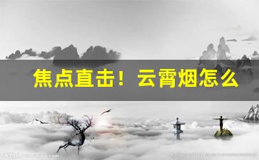 焦点直击！云霄烟怎么购“辞旧迎新”