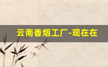 云南香烟工厂-现在在云南生产的香烟