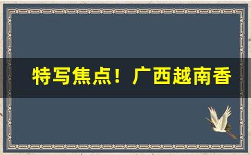 特写焦点！广西越南香烟批发一手货源代理“城下之辱”