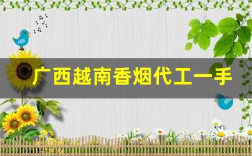 广西越南香烟代工一手货-越南烟一手批发广西当地