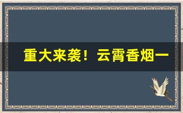 重大来袭！云霄香烟一手货源批发购买平台“大而化之”