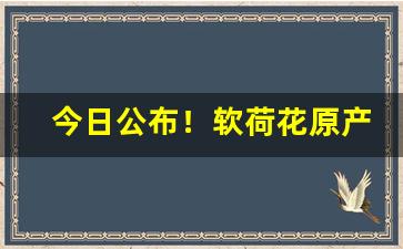 今日公布！软荷花原产地价格“白说绿道”