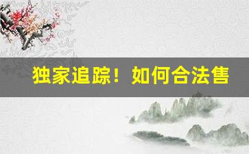独家追踪！如何合法售卖外国烟“钿合金钗”
