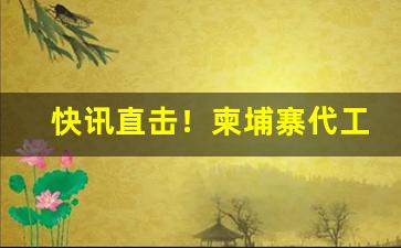 快讯直击！柬埔寨代工正品烟厂“撮盐入水”