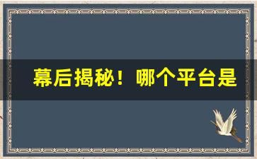 幕后揭秘！哪个平台是正品还便宜“安于覆盂”