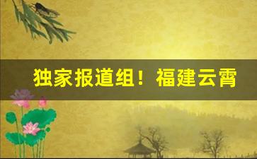 独家报道组！福建云霄香烟批发微信2022“存亡安危”