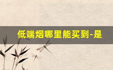 低端烟哪里能买到-是不是全国都没有低端烟